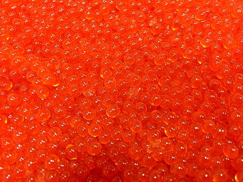 朱色の宝石 鱒子の醤油漬け レシピ 作り方 By アボカドプリン 楽天レシピ 朱色の宝石 鱒子の醤油漬け レシピ 作り方 By アボカドプリン 楽天レシピ